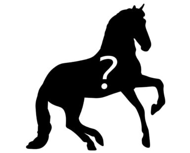 70th Anniversary Mystery Horse Surprise - R6051 - Image 2